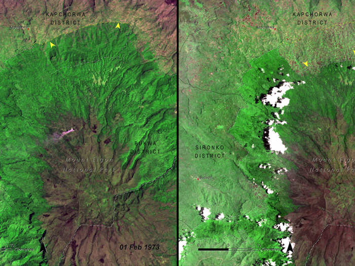 Deforestation around Mount Elgon National Park, Uganda, 1973 vs. 2005