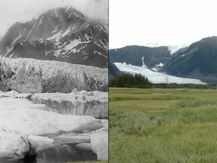 Melting Pedersen Glacier, Alaska, August 1917 vs. August 2005