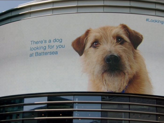 Battersea Dogs and Cats Home and its agency OgilvyOne secretly placed RFID chips in leaflets handed out to shoppers, which triggered a dog to "follow" them around the Westfield Stratford shopping mall in London on its digital advertising screens.