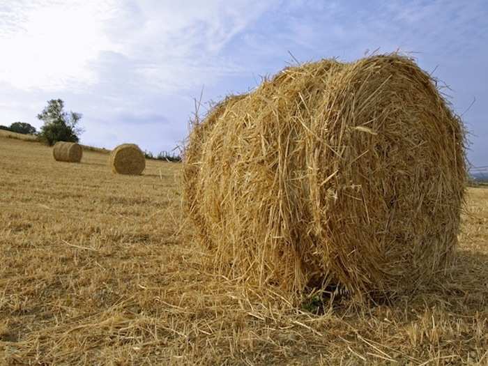 How many ways can you think of to find a needle in a haystack? — Business Associate, May 2014