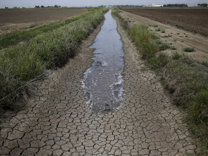 Irrigation water runs along a dried-up ditch between rice farms to provide water for fields in Richvale, an agricultural town north of Sacramento.