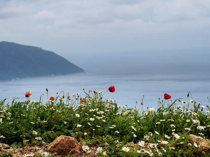 Roman roads, stony footpaths, and mule trails make up the 540-kilometer Lycian Way that winds through Turkey