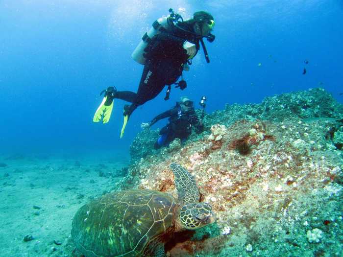 Best for divers: Molokai