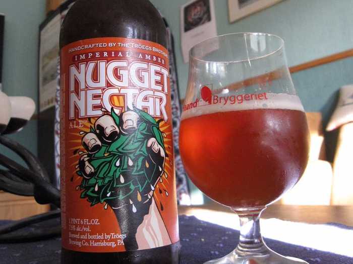 16. Nugget Nectar (Troëgs Brewing Co.)