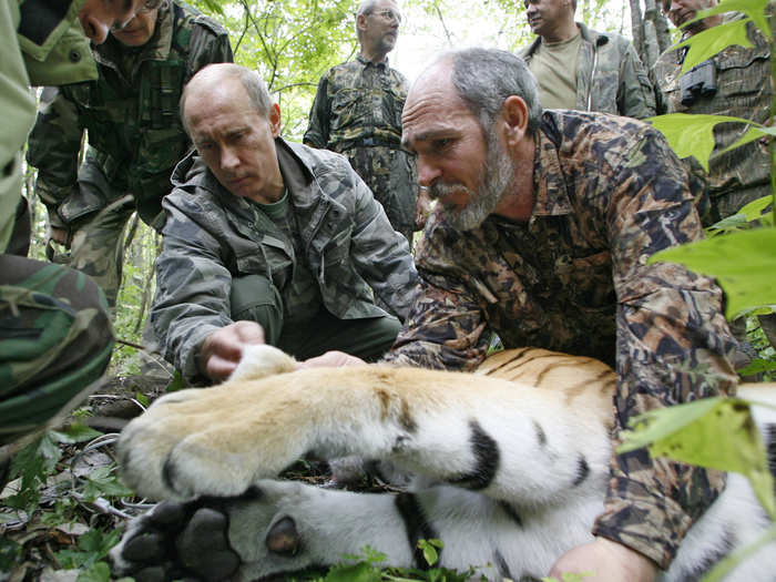 It came in handy as he reportedly saved a TV crew travelling with him from a Siberian tiger.