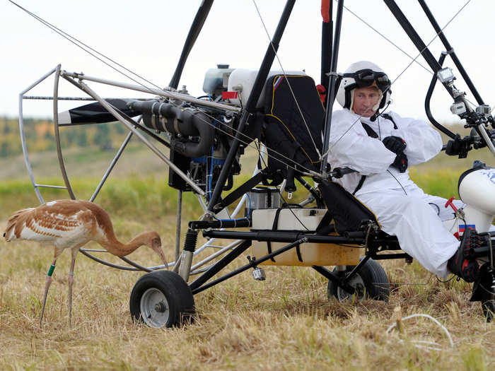 Is it a bird? Is it a plane? Actually both. Putin stares down a crane as he sits in a motorised deltaplane at Yamalo-Nenets district in 2012.