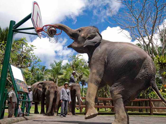 Ready for a game of hoops? Throughout the day, you