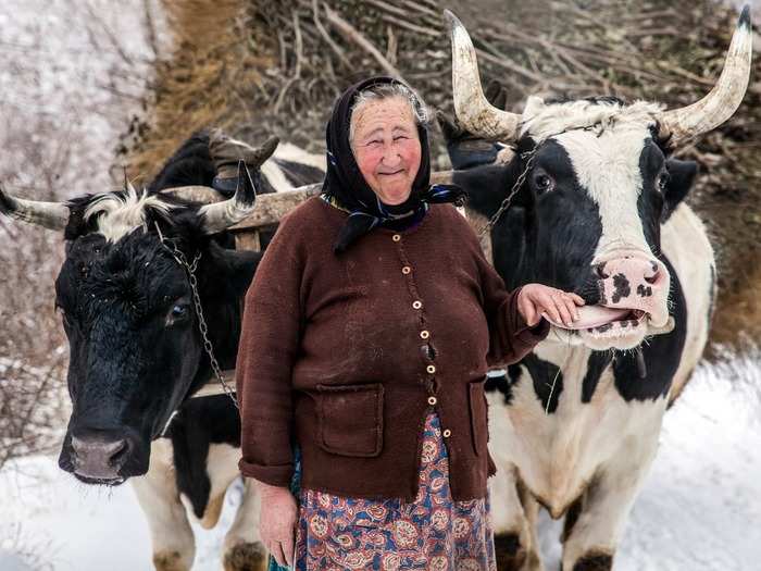 This photo was taken in the Apuseni Mountains in Romania. "I really liked this kind woman, her funny smile, and how the ox licks her hand," says photographer Angyalosi Beáta.