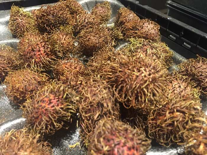 This is rambutan, an exotic fruit of Southeast Asia (and a little intimidating-looking.)