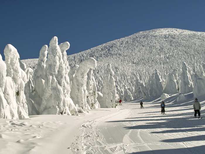 The Zao Onsen hot spring and ski resort in the mountains of the Yamagata Prefecture, is known for its “ice trees”, trees that take on fascinating shapes due to heavy amounts of snowfall in the winter. One of Japan’s oldest ski resorts, Zao offers over 30 lifts, gondolas, and ropeways.