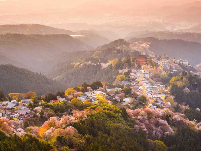 Mount Yoshino, in the Nara Prefecture, is considered one of the best areas to view cherry blossoms, with over 30,000 of the magnificent trees.