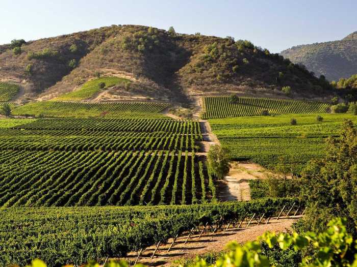 With its numerous vineyards, Chile is a great destination for wine aficionados hoping to spend their honeymoon vineyard hopping and wine tasting. Maipo Valley and Millahue are good regions to start.