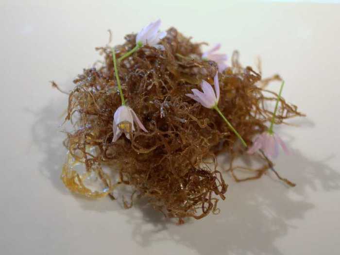 6. Mugaritz