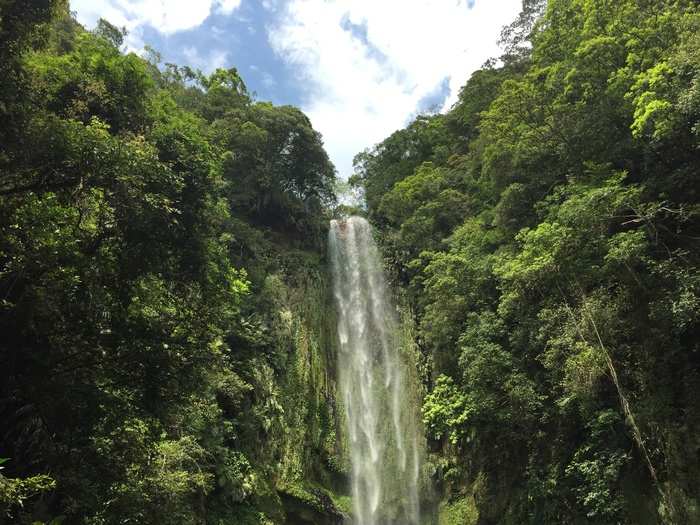 7. Another reward for climbing up to a scenic spot is a sight like this: a waterfall that cuts through the lush tropical greenery.