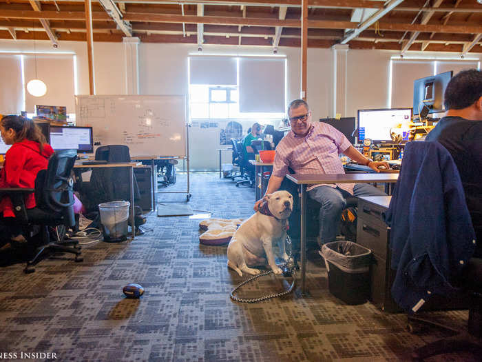 Maker is a dog-friendly office. More than a few employees keep their pets around.