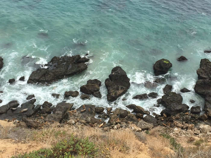 We came across a crew of sea lions — who blended in perfectly with the landscape.