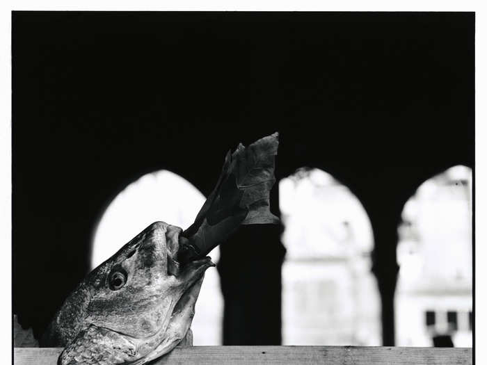 Elliott Erwitt, Venice, Italy, 1949