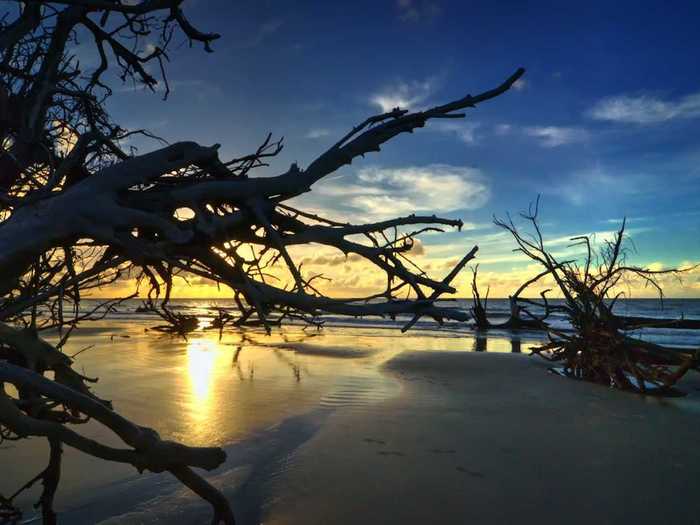 19. Hunting Island State Park lies just east of Beaufort, South Carolina. The semitropical barrier island has one of the only lighthouses open to the public in all of South Carolina.