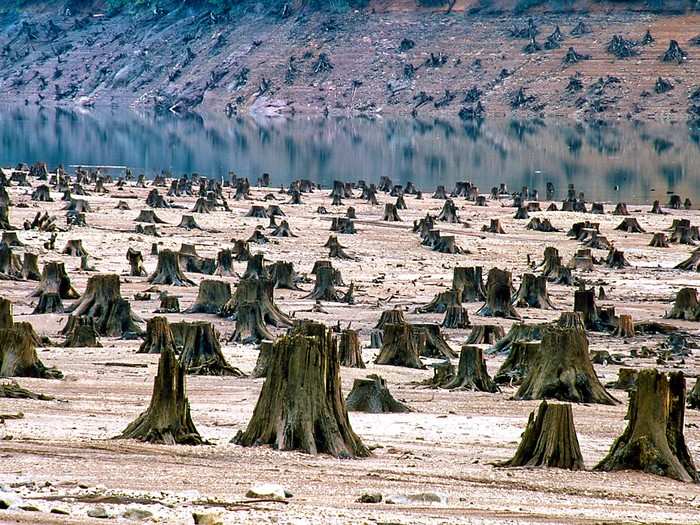 Once a thick and beautiful old-growth forest in the Willamette National Forest in Oregon is now leveled for reservoir development.