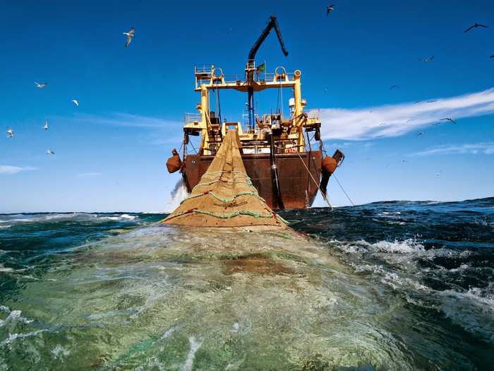 A 400-foot-long pelagic trawler pulls in a haul off the coast of Mauritania. The ever-growing demand for fish protein in the world diet, has created record catches in recent years.