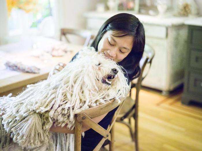 They have an adorable Hungarian sheepdog named Beast who looks like a tail-wagging mop and even has his own Facebook page.