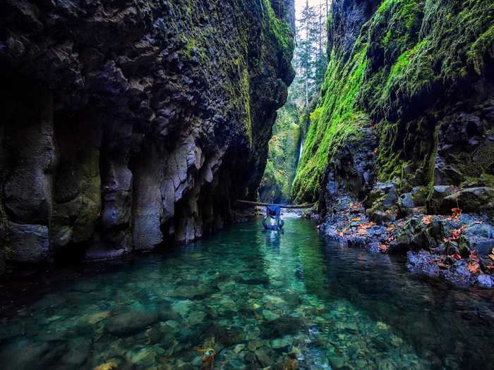 The Oneonta Gorge, located in the Columbia River Gorge in Oregon, is next to the busier Multomah Falls but often overlooked by tourists considering that you