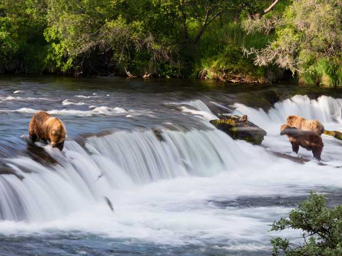 Katmai National Park and Preserve in King Salmon, Alaska, spans over four million acres of remote landscapes and offers hikers the opportunity to walk among 14 active volcanoes. Here, you’ll find the Valley of Ten Thousand Smokes, a valley filled with ash flow from the eruption of Novarupta in 1912, and one of the highest densities of brown bears.