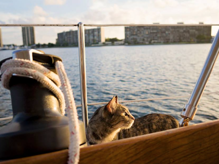 Georgie, "loves sitting on the deck and watching the fish over the side of the boat when we are at anchor," Jessica told the Daily Mail.