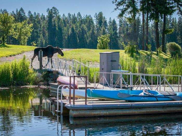 ...but mind the wildlife that like to roam the property.