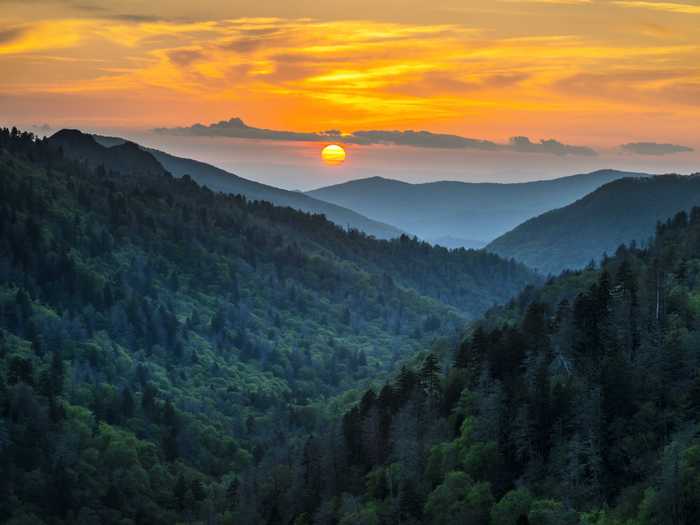 According to UNESCO, Great Smoky Mountains National Park, which stretches across Tennessee and North Carolina, has almost as many trees as all of Europe, which is why it is the most visited national park in the United States.