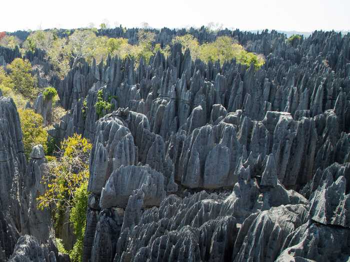 Tsingy de Bemaraha Strict Nature Reserve, in the District of Antsalova, Madagascar, is made of limestone, needle-like formations called “tsingy peaks” where rare species of birds and lemurs reside.