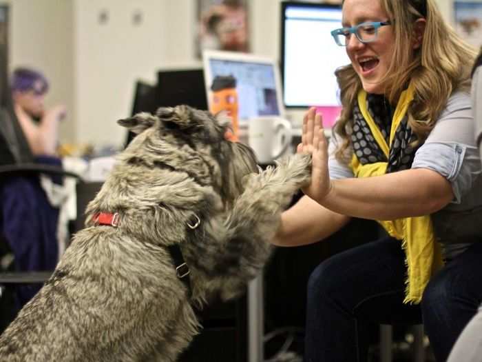 Rover offers various services to dog owners, but dogs can help companies "bond with clients and vendors" in all kinds of non-dog industries, says Fast Company. That