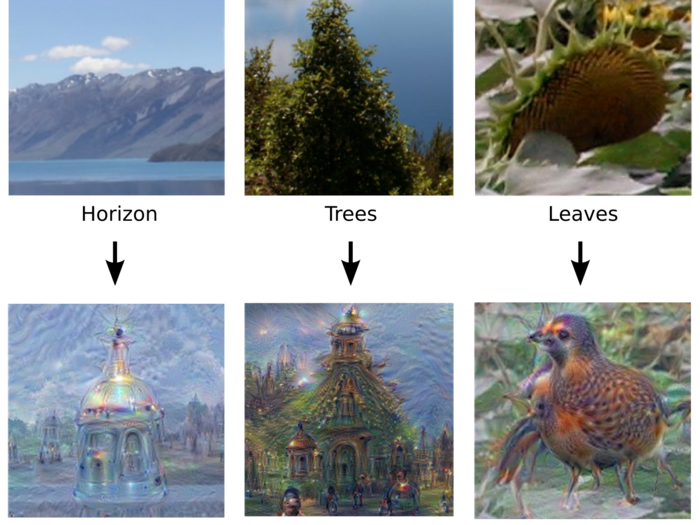 These examples show how AI networks trained to recognize towers, buildings, and birds interpreted images of landscapes, trees, and leaves.