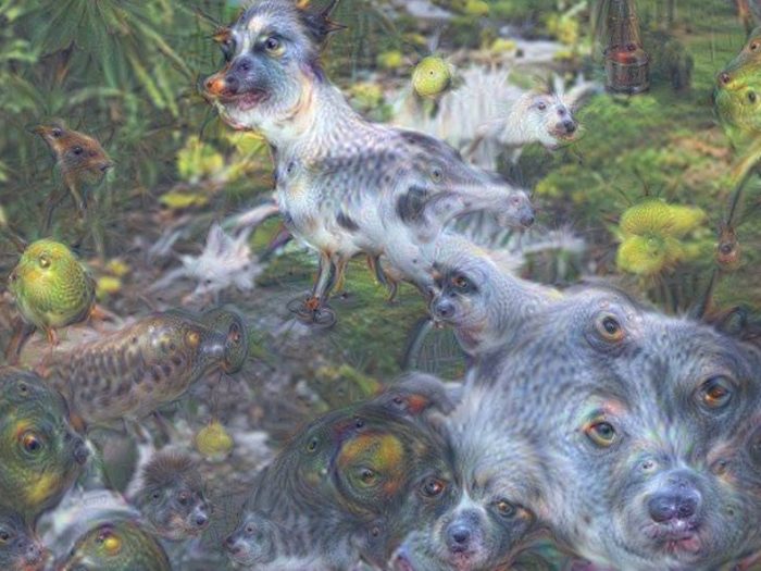 The majority of the AI networks were trained with images of animals. One AI network populated an image of a waterfall with dogs, birds, pigs and goats.