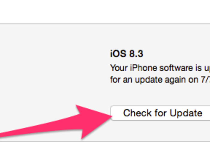 3. And click Check for Update. If it just says Update, click it and follow the next step.