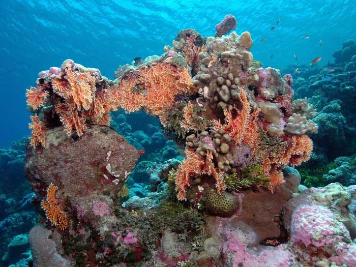 A total of 1,156 islets sitting between Australia and Hawaii, the Marshall Islands include the Kwajalein Atoll, which is one of the world’s biggest coral atolls. It includes 97 of its own islets.