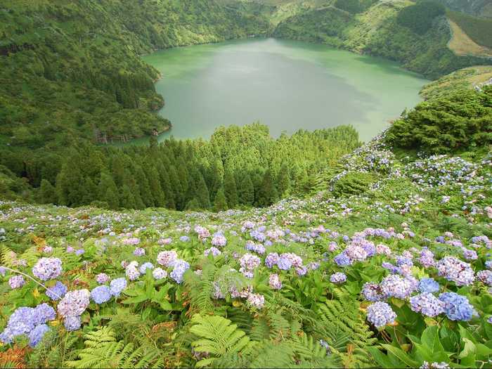 Flores island, located in the most western point of the Azores Archipelago off the coast of Portugal, gets its name from the bountiful amounts of wildflowers that surround the area. It also hosts natural hot springs and lagoons that make for a relaxing swim.