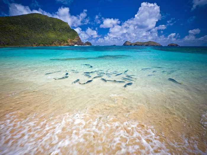 Lord Howe Island, located approximately 372 miles northeast of Sydney, Australia, has diverse marine life thanks to its isolated location. It hosts a varied landscape of mountains, valleys, hills, lowlands and seacliffs.