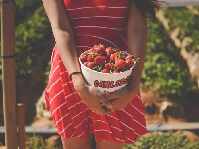 Pick some fresh, delicious, juicy strawberries from a strawberry field.