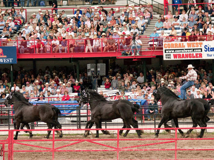 Attend a rodeo at the Cheyenne Frontier Days rodeo festival in Cheyenne, Wyoming, which runs from July 17th to 26th.