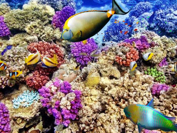 9. Great Barrier Reef, Australia