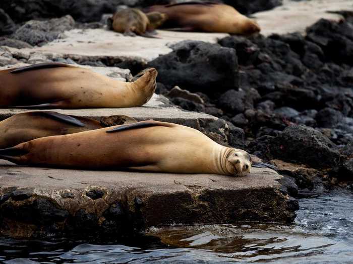 1. Galápagos Islands, Ecuador