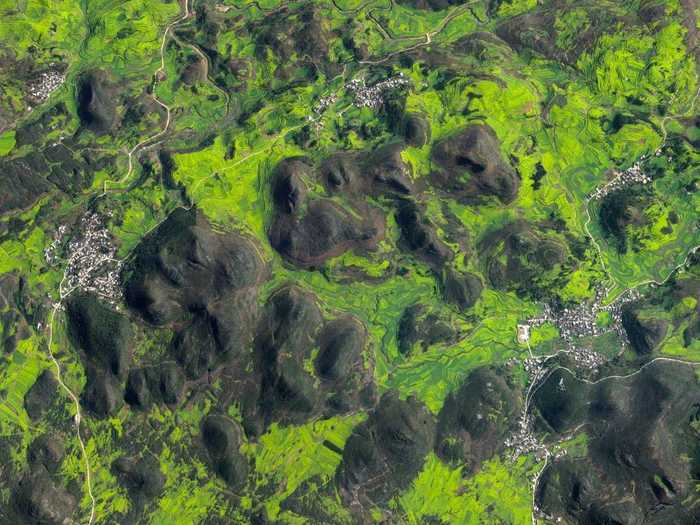 Canola flower fields cover the mountainous landscape of Luoping County, China. The crop is grown for the production of oil, which is extracted by slightly heating and then crushing the flower seeds.