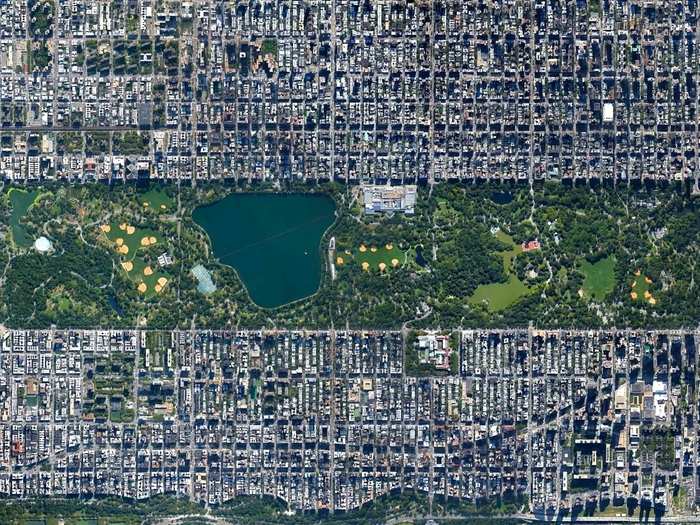 New York City’s Central Park spans 843 acres. That’s 6% of the island of Manhattan.