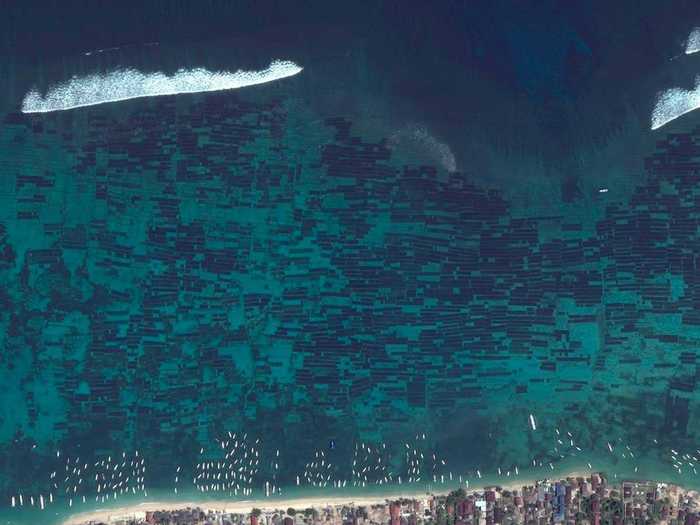 Seaweed farms on Nusa Lembongan – a small island located southeast of Bali, Indonesia – have an average harvest of 50,000 pounds per month. Once the seaweed is extracted from the water, it is dried by the sun for 3-7 days.