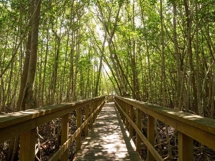 And guests can access the waterfront via an elevated walkway through the trees.