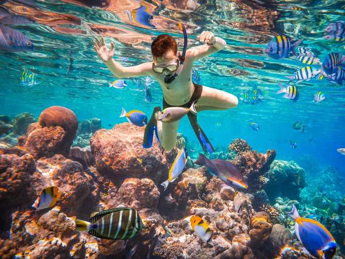 Go snorkeling in the Maldives, home to some of the world’s largest coral atolls and most beautiful marine life.