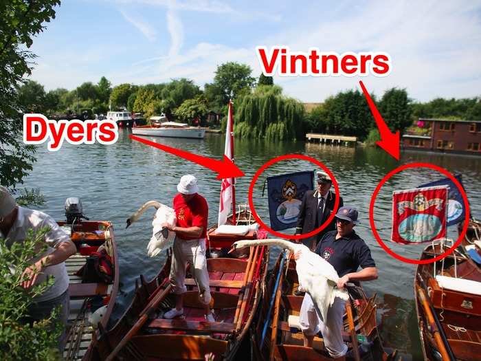 Each skiff is decked out in the appropriate livery, with the uppers wearing traditional uniforms.