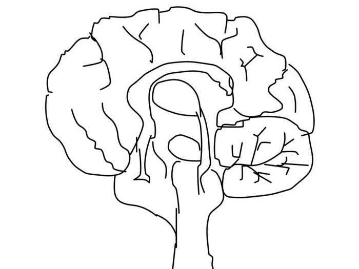 Mimicking the way the brain learns, artificial neural networks like Sketch-a-net build on what they already know each time they perform a new task. This is how they are able to recognise images.