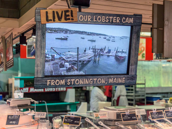 Stew Leonard’s really wants to make sure you know where your food comes from — check out this live lobster cam. They sell over 1 million pounds of lobster every year.